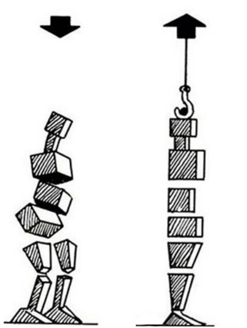 trening-funkcionalmnosti